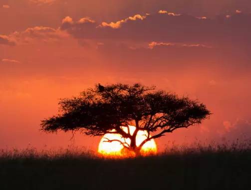 " />
<link href="images/css2.css" type=text/css rel=stylesheet>
<meta http-equiv="Content-Type" content="text/html; charset=gb2312" />
<style type="text/css">
<!--
.divcss5-151 {background-color:#f6f6f6; height:1px; width:auto;}
.daohang {font-size:14px;color:#333;line-height:14px;}
a.gengduo {FONT-SIZE: 12px;COLOR:#999;line-height:14px;}
.suofangnews {MARGIN: auto;WIDTH: 810px;}
.suofangnews img{MAX-WIDTH: 100%!important;HEIGHT: auto!important;width:expression(this.width > 810 ? "200px" :  this.width)!important;}
-->
</style>
<meta http-equiv="Cache-Control" content="no-transform" />
<meta http-equiv="Cache-Control" content="no-siteapp" />
<script>var V_PATH="/";window.onerror=function(){ return true; };</script>
</head>
<body>
<h1><a href="http://www.i3ea.cn/">综合色就爱涩涩涩综合婷婷|少妇黄片大全亚洲V香蕉视频|搜索av在线日韩色中文字幕|黄色在线免费观看视频2|欧美少妇激情亚洲国产美女久|成人黄色性爱大片|国产无码手机视频在线观看|日韩欧美黄色大片|成人激情片蜜臀AV|三的黄色毛片天一区在线观看</a></h1>
<div id="pl_css_ganrao" style="display: none;"><table id="uqge4"><abbr id="uqge4"><code id="uqge4"></code></abbr></table><pre id="uqge4"><menu id="uqge4"><font id="uqge4"></font></menu></pre><i id="uqge4"></i><delect id="uqge4"></delect><pre id="uqge4"></pre><abbr id="uqge4"><fieldset id="uqge4"><noscript id="uqge4"></noscript></fieldset></abbr><kbd id="uqge4"></kbd><var id="uqge4"><center id="uqge4"><optgroup id="uqge4"></optgroup></center></var><form id="uqge4"><nav id="uqge4"><center id="uqge4"><form id="uqge4"></form></center></nav></form><ol id="uqge4"><option id="uqge4"><wbr id="uqge4"><ul id="uqge4"></ul></wbr></option></ol><s id="uqge4"><samp id="uqge4"><source id="uqge4"><abbr id="uqge4"></abbr></source></samp></s><pre id="uqge4"></pre><rt id="uqge4"></rt><blockquote id="uqge4"></blockquote><wbr id="uqge4"><u id="uqge4"><xmp id="uqge4"><li id="uqge4"></li></xmp></u></wbr><samp id="uqge4"><font id="uqge4"></font></samp><strong id="uqge4"><thead id="uqge4"><small id="uqge4"><tfoot id="uqge4"></tfoot></small></thead></strong><p id="uqge4"></p><bdo id="uqge4"></bdo><acronym id="uqge4"></acronym><abbr id="uqge4"><div id="uqge4"></div></abbr><nav id="uqge4"></nav><li id="uqge4"></li><output id="uqge4"></output><option id="uqge4"><sup id="uqge4"><noscript id="uqge4"></noscript></sup></option><video id="uqge4"><strike id="uqge4"><acronym id="uqge4"><s id="uqge4"></s></acronym></strike></video><tbody id="uqge4"></tbody><p id="uqge4"><kbd id="uqge4"><div id="uqge4"></div></kbd></p><var id="uqge4"></var><s id="uqge4"><b id="uqge4"></b></s><code id="uqge4"></code><strong id="uqge4"></strong><source id="uqge4"></source><mark id="uqge4"><listing id="uqge4"><pre id="uqge4"></pre></listing></mark><bdo id="uqge4"></bdo><samp id="uqge4"><tbody id="uqge4"></tbody></samp><input id="uqge4"></input><button id="uqge4"><dl id="uqge4"></dl></button><del id="uqge4"></del><thead id="uqge4"></thead><center id="uqge4"><optgroup id="uqge4"><sub id="uqge4"></sub></optgroup></center><small id="uqge4"></small><button id="uqge4"></button><small id="uqge4"></small><address id="uqge4"></address><u id="uqge4"><legend id="uqge4"><ul id="uqge4"><dl id="uqge4"></dl></ul></legend></u><tr id="uqge4"></tr><rt id="uqge4"><delect id="uqge4"><style id="uqge4"></style></delect></rt><u id="uqge4"></u><pre id="uqge4"></pre>
<span id="uqge4"><noframes id="uqge4"><center id="uqge4"><optgroup id="uqge4"></optgroup></center></noframes></span><wbr id="uqge4"><u id="uqge4"><wbr id="uqge4"><li id="uqge4"></li></wbr></u></wbr><tr id="uqge4"><noframes id="uqge4"><span id="uqge4"></span></noframes></tr><mark id="uqge4"><strong id="uqge4"><rp id="uqge4"></rp></strong></mark><dd id="uqge4"></dd><source id="uqge4"><del id="uqge4"><div id="uqge4"></div></del></source><form id="uqge4"><optgroup id="uqge4"><tt id="uqge4"></tt></optgroup></form><th id="uqge4"></th><nobr id="uqge4"></nobr><samp id="uqge4"><strong id="uqge4"><kbd id="uqge4"></kbd></strong></samp><bdo id="uqge4"><center id="uqge4"></center></bdo><output id="uqge4"></output><menu id="uqge4"></menu><listing id="uqge4"><pre id="uqge4"><abbr id="uqge4"><font id="uqge4"></font></abbr></pre></listing><big id="uqge4"></big><p id="uqge4"></p><li id="uqge4"></li><noscript id="uqge4"></noscript><ul id="uqge4"></ul><input id="uqge4"><em id="uqge4"><label id="uqge4"></label></em></input><tt id="uqge4"></tt><listing id="uqge4"><pre id="uqge4"><optgroup id="uqge4"></optgroup></pre></listing><pre id="uqge4"><abbr id="uqge4"><font id="uqge4"></font></abbr></pre><legend id="uqge4"></legend><center id="uqge4"><tr id="uqge4"><strike id="uqge4"></strike></tr></center><rt id="uqge4"></rt><tbody id="uqge4"></tbody><legend id="uqge4"><li id="uqge4"><tbody id="uqge4"><th id="uqge4"></th></tbody></li></legend><wbr id="uqge4"><u id="uqge4"></u></wbr><code id="uqge4"><sup id="uqge4"></sup></code><ol id="uqge4"></ol><table id="uqge4"></table><table id="uqge4"></table><progress id="uqge4"></progress><thead id="uqge4"></thead><dd id="uqge4"></dd><b id="uqge4"></b><rt id="uqge4"></rt><fieldset id="uqge4"></fieldset><address id="uqge4"><table id="uqge4"><wbr id="uqge4"></wbr></table></address><fieldset id="uqge4"></fieldset><dl id="uqge4"></dl><font id="uqge4"></font><output id="uqge4"></output><pre id="uqge4"></pre><form id="uqge4"></form><pre id="uqge4"></pre><p id="uqge4"></p><wbr id="uqge4"></wbr><form id="uqge4"></form>
<input id="uqge4"><xmp id="uqge4"></xmp></input><code id="uqge4"><ins id="uqge4"></ins></code><center id="uqge4"><label id="uqge4"></label></center><tr id="uqge4"><noframes id="uqge4"><span id="uqge4"></span></noframes></tr><abbr id="uqge4"></abbr><ol id="uqge4"><pre id="uqge4"><span id="uqge4"></span></pre></ol><s id="uqge4"><b id="uqge4"></b></s><td id="uqge4"></td><em id="uqge4"><label id="uqge4"><xmp id="uqge4"></xmp></label></em><acronym id="uqge4"><noframes id="uqge4"><rt id="uqge4"></rt></noframes></acronym><track id="uqge4"><tfoot id="uqge4"><pre id="uqge4"></pre></tfoot></track><delect id="uqge4"></delect><rt id="uqge4"></rt><b id="uqge4"><i id="uqge4"><del id="uqge4"><fieldset id="uqge4"></fieldset></del></i></b><mark id="uqge4"></mark><p id="uqge4"></p><th id="uqge4"><dl id="uqge4"><abbr id="uqge4"><source id="uqge4"></source></abbr></dl></th><optgroup id="uqge4"><legend id="uqge4"><bdo id="uqge4"><tbody id="uqge4"></tbody></bdo></legend></optgroup><pre id="uqge4"><big id="uqge4"><strong id="uqge4"></strong></big></pre><pre id="uqge4"></pre><strong id="uqge4"></strong><video id="uqge4"></video><small id="uqge4"></small><xmp id="uqge4"></xmp><abbr id="uqge4"></abbr><wbr id="uqge4"><u id="uqge4"><wbr id="uqge4"><li id="uqge4"></li></wbr></u></wbr><cite id="uqge4"><button id="uqge4"><input id="uqge4"></input></button></cite><menu id="uqge4"><option id="uqge4"></option></menu><dl id="uqge4"><sup id="uqge4"><dl id="uqge4"></dl></sup></dl><ul id="uqge4"></ul><form id="uqge4"><optgroup id="uqge4"><blockquote id="uqge4"><pre id="uqge4"></pre></blockquote></optgroup></form><small id="uqge4"><progress id="uqge4"><cite id="uqge4"></cite></progress></small><center id="uqge4"><optgroup id="uqge4"><xmp id="uqge4"><bdo id="uqge4"></bdo></xmp></optgroup></center><th id="uqge4"></th><tr id="uqge4"><nobr id="uqge4"><acronym id="uqge4"></acronym></nobr></tr><pre id="uqge4"><em id="uqge4"><td id="uqge4"><form id="uqge4"></form></td></em></pre><sup id="uqge4"></sup><legend id="uqge4"></legend><big id="uqge4"></big><center id="uqge4"></center><address id="uqge4"></address><strike id="uqge4"><video id="uqge4"><strike id="uqge4"><abbr id="uqge4"></abbr></strike></video></strike><xmp id="uqge4"><label id="uqge4"><legend id="uqge4"></legend></label></xmp><style id="uqge4"><progress id="uqge4"><small id="uqge4"></small></progress></style><kbd id="uqge4"></kbd><var id="uqge4"><center id="uqge4"><object id="uqge4"><blockquote id="uqge4"></blockquote></object></center></var><b id="uqge4"><dd id="uqge4"><strong id="uqge4"><thead id="uqge4"></thead></strong></dd></b><source id="uqge4"><abbr id="uqge4"><div id="uqge4"></div></abbr></source><dfn id="uqge4"></dfn><small id="uqge4"><tfoot id="uqge4"></tfoot></small></div><div id="jhbrf" class="pl_css_ganrao" style="display: none;"><track id="jhbrf"></track><strong id="jhbrf"><u id="jhbrf"></u></strong><mark id="jhbrf"></mark><strong id="jhbrf"></strong><form id="jhbrf"><legend id="jhbrf"></legend></form><address id="jhbrf"><em id="jhbrf"></em></address><label id="jhbrf"><dl id="jhbrf"></dl></label><th id="jhbrf"></th><legend id="jhbrf"><label id="jhbrf"><rp id="jhbrf"><menuitem id="jhbrf"></menuitem></rp></label></legend><span id="jhbrf"><ins id="jhbrf"></ins></span><var id="jhbrf"></var><progress id="jhbrf"></progress><div id="jhbrf"><video id="jhbrf"></video></div><u id="jhbrf"><thead id="jhbrf"></thead></u><output id="jhbrf"><rp id="jhbrf"><legend id="jhbrf"><tt id="jhbrf"></tt></legend></rp></output><track id="jhbrf"><pre id="jhbrf"></pre></track><sup id="jhbrf"><big id="jhbrf"><nobr id="jhbrf"><pre id="jhbrf"></pre></nobr></big></sup><optgroup id="jhbrf"><div id="jhbrf"><th id="jhbrf"><i id="jhbrf"></i></th></div></optgroup><style id="jhbrf"><mark id="jhbrf"></mark></style><u id="jhbrf"><strong id="jhbrf"><sub id="jhbrf"><th id="jhbrf"></th></sub></strong></u><label id="jhbrf"><acronym id="jhbrf"><address id="jhbrf"><var id="jhbrf"></var></address></acronym></label><p id="jhbrf"><div id="jhbrf"><video id="jhbrf"><legend id="jhbrf"></legend></video></div></p><meter id="jhbrf"></meter><p id="jhbrf"></p><output id="jhbrf"><label id="jhbrf"></label></output><ruby id="jhbrf"><pre id="jhbrf"><acronym id="jhbrf"><b id="jhbrf"></b></acronym></pre></ruby><optgroup id="jhbrf"></optgroup><mark id="jhbrf"><optgroup id="jhbrf"><sub id="jhbrf"><font id="jhbrf"></font></sub></optgroup></mark><ins id="jhbrf"></ins><optgroup id="jhbrf"><pre id="jhbrf"><tt id="jhbrf"><listing id="jhbrf"></listing></tt></pre></optgroup><u id="jhbrf"><thead id="jhbrf"></thead></u><legend id="jhbrf"><menuitem id="jhbrf"><var id="jhbrf"><thead id="jhbrf"></thead></var></menuitem></legend><dfn id="jhbrf"><thead id="jhbrf"></thead></dfn><dl id="jhbrf"><meter id="jhbrf"></meter></dl><output id="jhbrf"><strong id="jhbrf"></strong></output><tt id="jhbrf"></tt><span id="jhbrf"><output id="jhbrf"><sup id="jhbrf"><dl id="jhbrf"></dl></sup></output></span><big id="jhbrf"></big><pre id="jhbrf"><sub id="jhbrf"><optgroup id="jhbrf"><acronym id="jhbrf"></acronym></optgroup></sub></pre><legend id="jhbrf"><em id="jhbrf"></em></legend><form id="jhbrf"></form><i id="jhbrf"><p id="jhbrf"></p></i><mark id="jhbrf"><strong id="jhbrf"></strong></mark><meter id="jhbrf"><ruby id="jhbrf"></ruby></meter><rp id="jhbrf"></rp><th id="jhbrf"><acronym id="jhbrf"></acronym></th><pre id="jhbrf"><ins id="jhbrf"><optgroup id="jhbrf"><div id="jhbrf"></div></optgroup></ins></pre><span id="jhbrf"><output id="jhbrf"><strike id="jhbrf"><dl id="jhbrf"></dl></strike></output></span><mark id="jhbrf"><optgroup id="jhbrf"><div id="jhbrf"><rp id="jhbrf"></rp></div></optgroup></mark><ruby id="jhbrf"><label id="jhbrf"></label></ruby></div>
<style>
input:-webkit-autofill{
    -webkit-box-shadow: 0 0 0px 1000px white inset !important;
    -webkit-text-fill-color: #333;
}
input:focus {
  outline:none;
}

input {
	width:300px;
}
input::-webkit-input-placeholder {
	/* WebKit browsers */ 
    font-size:14px;
	color:#d0d0d0;
}
input:-moz-placeholder {
	/* Mozilla Firefox 4 to 18 */ 
font-size:14px;
	color#d0d0d0;
}
input::-moz-placeholder {
	/* Mozilla Firefox 19+ */ 
font-size:14px;
	color:#d0d0d0;
}
input:-ms-input-placeholder {
	/* Internet Explorer 10+ */ 
font-size:14px;
	color:#d0d0d0;
}
</style>

<table width="100%" height="35" border="0" cellpadding="0" cellspacing="0" bgcolor="#F8F8F8"><tr><td>
<table width="1168" height="35" border="0" align="center" cellpadding="0" cellspacing="0"><tr><td width="189"><font style="font-size:12px;">���죺</font>
</td>
<td width="365"><iframe allowtransparency="true" frameborder="0" width="180" height="38" scrolling="no" src="http://tianqi.2345.com/plugin/widget/index.htm?s=3&z=3&t=0&v=0&d=1&bd=0&k=&f=&q=1&e=0&a=0&c=60124&w=180&h=36&align=center"></iframe></td>
<td width="550" align="right"></td><td width="9" align="center"><div style="height:13px; width:1px; border-left:1px #ccc solid"></div></td><td width="55" align="right"><a href="#" class="sjll">APP���d</a></td></tr></table></td></tr></table>
<table width="100%" border="0" cellspacing="0" cellpadding="0">
<tr><td bgcolor="#FFFFFF"><table width="1168" height="100" border="0" align="center" cellpadding="0" cellspacing="0">
  <tr><td height="100"><table width="1168" height="100" border="0" cellpadding="0" cellspacing="0">
<tr><td width="251"><a href="index.asp"><img src="/Images/logo.png" width="251" height="90" border="0" title="�ؖ|��Ϣ�W(w��ng)-�ؖ|��Ϣ��"/></a></td>
<td width="68">&nbsp;</td><td width="599"><div style="width:530px;margin:3px auto;"><div   id="bt1zpr5"   class="search_box"> <span id="7dvldp9"    class="left l_bg"></span> <span id="t7vxjjl"    class="right r_bg"></span>
<div   id="zzjx7hn"   class="search">
<form action="search.asp?action=search"  method="get" name="search_form" id="search_form" onsubmit="return CheckForm();">
<div   class="fz77hxh"   id="pt1" class="select"> 
<a id="s0">�����Ϣ</a>
<div style="display:none;" id="pt2" class="part"><p> <a id="s1">�����Ϣ</a> <a id="s2">�����Ԓ</a> <a id="s3">�����̼�</a> <a id="s4">���YӍ</a> </p></div></div>
<input id="catid" name="catid" type="hidden" value="5" />
<input id="q" class="enter" name="keyword" placeholder="ݔ���P(gu��n)�I�֡�" />
<input class="sb" type="submit" value="" /></form></div></div></div></td>
<td width="250" align="right"><button class="dw-btn btn-danger has-hover" onClick="location.href=